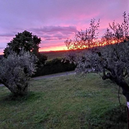 L'Orto Sul Poggio Bed & Breakfast Sutri Luaran gambar