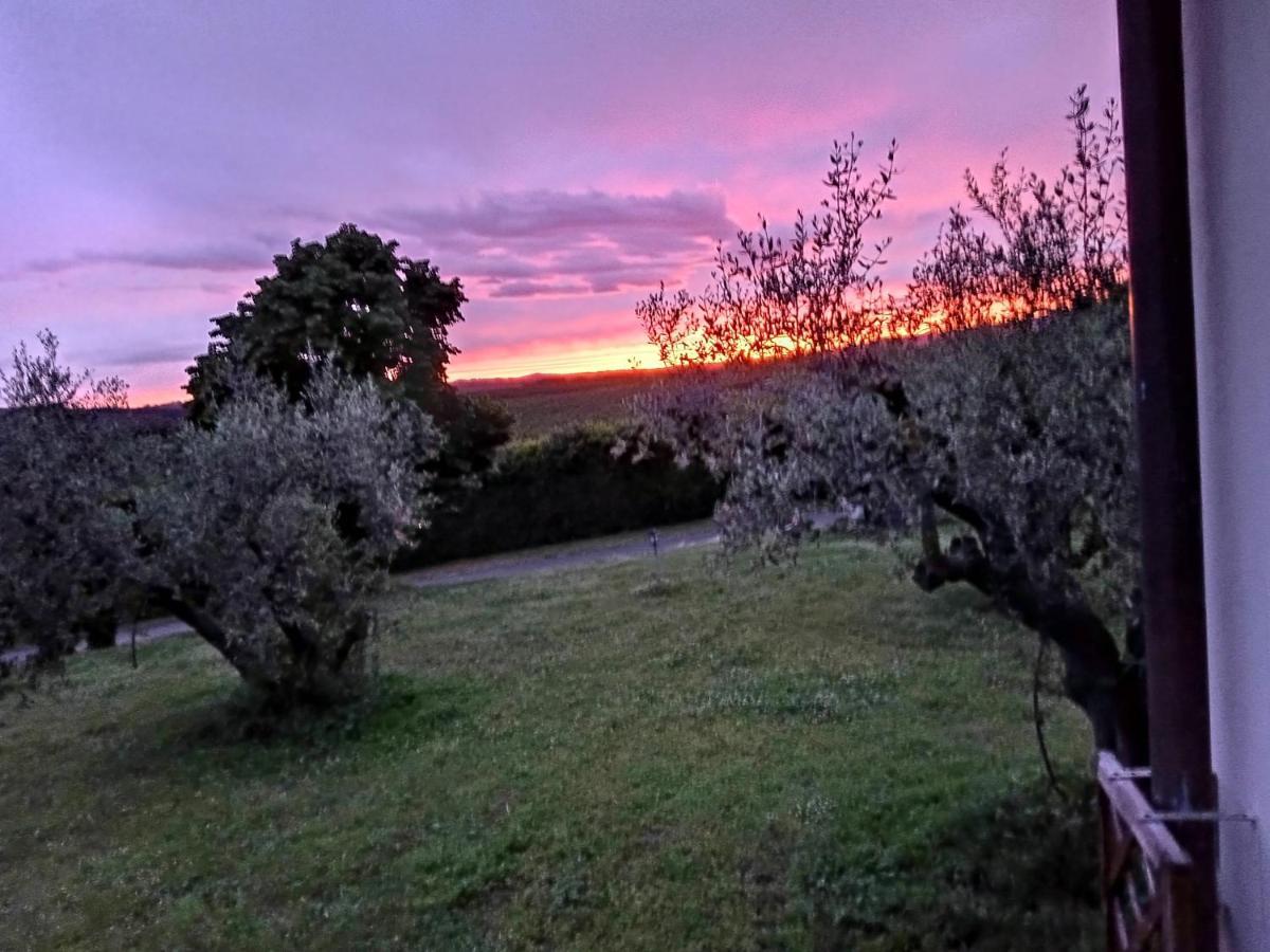 L'Orto Sul Poggio Bed & Breakfast Sutri Luaran gambar